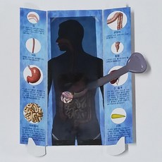소화기간 학습교구 음식물 소화 과정 알아보기 5인용 북아트 과학수업교구 실험, 1개, 상세페이지참조