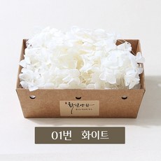 화연양화 프리저브드플라워 블루밍 케이스 수국 30색, 01 화이트