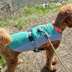 강아지 여름 쿨조끼 메쉬 쿨웨어 쿨조끼 중형견 대형견 옷, 그린, 1개