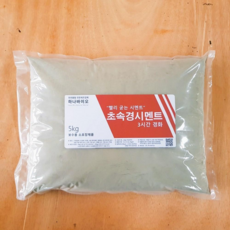 초속경시멘트 5kg 빨리 굳는 보수용 몰탈 3시간 경화 초속경몰탈 하나바이오 5kg, 2포