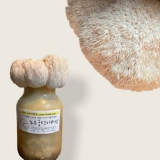 버섯키우기, 2개