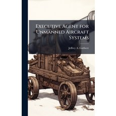 (英文圖書)Executive Agent for Unmanned Aircraft Systems 精裝版, Hutson Street Press, 英文