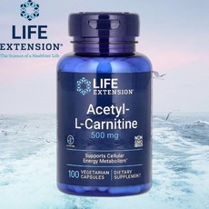 아세틸-L-카르니틴 500mg 100베지캡슐 라이프익스텐션, 120g, 1개, 100정