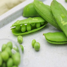 생완두콩 국내산 완두콩 풋완두콩 제철콩, 1개, 1kg
