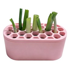 가정용 대파 키우기, 2개, 핑크색
