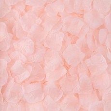 아트포유 장미 꽃잎 컨페티 플라워샤워 웨딩 촬영 꽃가루, 400개, 라이트 레드