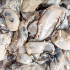 산지직송 통영 생굴 통영굴 굴, 2개, 1kg