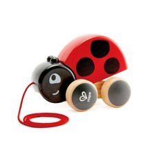 하페 무당벌레 걸음마