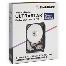 Western Digital 威騰 ULTRASTAR資料中心驅動器硬碟, HUS726T6TAL5204JP, 6TB
