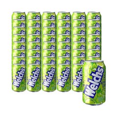 웰치스 소다 청포도 355ml 48캔, 48개
