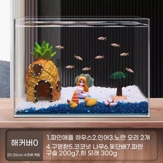 파인애플 하우스 어항 조경 풀세트 인형 장식, 패키지 제로