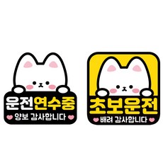 나봄드로잉 1+1 자체디자인 국산제작 초보운전 자석 스티커 탈부착 고양이, 1개, 솜솜이1+1세트