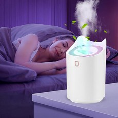 Blingbin 침실용 가습기 3L 듀얼 노즐 가정용 색상 변경 야간 조명 아기 식물 사무실용 휴대용 조용한 쿨 미스트 3가지 모드 자동 꺼짐, Blingbin 침실용 가습기, 3L 듀얼 노즐 가습기