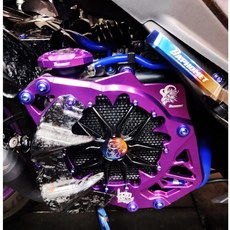 瘋螺絲 改裝巴風特水箱外蓋螺絲組 64正鈦螺絲, 1個, 皇家紫