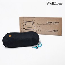 웰존 차량용 대나무숯 탈취제 냄새제거 방향제 자동차 무향 담배, 1박스, 500g