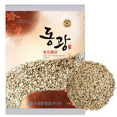 동광종합물산 더 구수한 볶은 홍화자 홍화씨, 600g, 1개