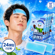 엘비온 1초 냉감 쿨링 붙이는 쿨패치 넓은시트, 24개