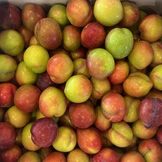 와촌자두 당도선별 초고당도 프리미엄 자두, 1박스, 중소과500g