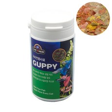 리진구피사료(100ml)/구피사료/엔젤, 1개, 100ml