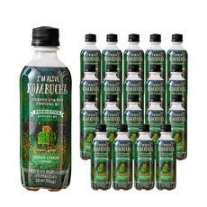 아임얼라이브 유기농 콤부차 320ml 20병 PET, 20개