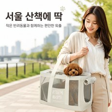 환기 최적화 전체메쉬 반려동물 토트가방 소형견 포메라니안 푸들 테디 휴대용 외출가방 접이식 고양이 겸용 이동가방 어깨끈 포함