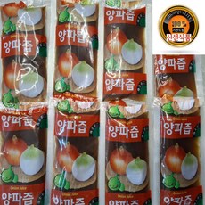 국내산 양파 양파즙(껍질 뿌리까지 진액), 10개, 100ml