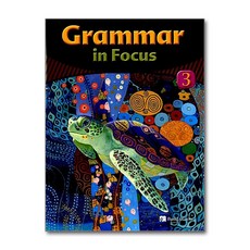 Grammar in Focus 3 (Student Book + Workbook + Audio CD)