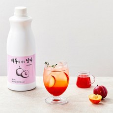 폴인 자두를 담다 베이스 1.8kg 2개세트