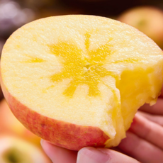 [딱3일가정용특가] 하루50박스 벌꿀과즙 고당도 부사사과, 1박스, 2kg