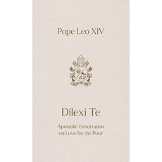 (영문도서)Dilexi Te: Apostolic Exhortation on Love for the Poor Paperback, New City Press, English, 9781565487345
