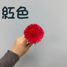 花藝夢 向日葵索拉 8公分 5支 高品質索拉 擴香花 乾燥花 永生花 不凋花 畢業花束 向日葵 大朵向日葵, 紅色, 紅色