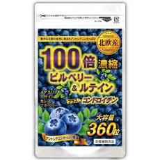 Beatty 일본직구 빌베리 100배 루테인 (약 6개월/대용량 360정), 1개