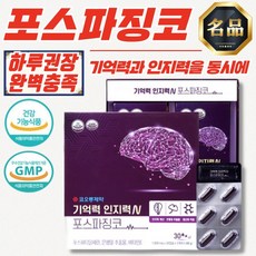 기억력 인지력 엔 포스파 징코 1000mg x 60캡슐, 1개, 1정