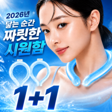 펠코스 아이스 넥쿨러 넥밴드 목 아이스팩, 2개, 블루