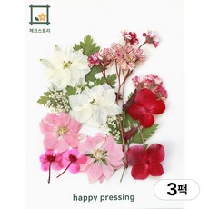 체크스토리 압화 컬러가든시리즈 누름꽃 꽃송이 압화재료 공예, 핑크앤수국15(3팩), 핑크