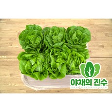 야채의진수 유러피안 상추 미니로메인+버터헤드 샐러드, 1박스, 2kg