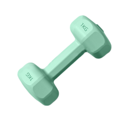 啞鈴 綠色環保防滑 居家健身女用小 瘦小臂健身器材, 1個, 1kg
