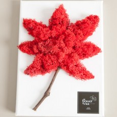 단풍스칸디아액자set 29cm (이젤포함) 조화 인테리어, 1개