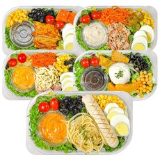 [한끼그린] 토핑가득! 5팩 저칼로리 샐러드 식단 총1.46kg(참치마요+리코타+닭가슴살 소세지+두부면+탄두리 닭가슴살), 1.46kg, 1개