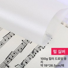 컬러 트레이싱지 트레싱지 용지 다꾸 스크랩북 공예, 1개, 16K 100g 펄실버 20장