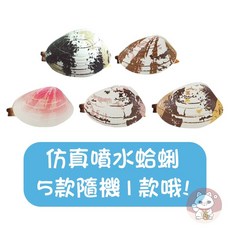 【新客限時下殺】[按壓噴水] 噴水蛤蠣 仿真噴水蛤蜊 噴水蛤蜊 仿真蛤蜊 蛤蜊噴水 貝殼噴水 貝殼水槍 蛤蜊水槍 蛤蠣水, 1個, 款式隨機