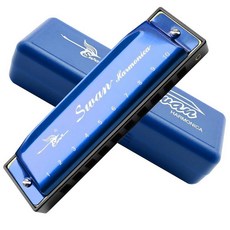 Harmonica Armonica 마우스 오르간 블루스 하모니카 C 키 10홀 20톤 폴리포니 온음계 하프 케이스 포함 블루스 포크 재즈 팝 음악 학생 교사 교육 초보자 선물, 블루