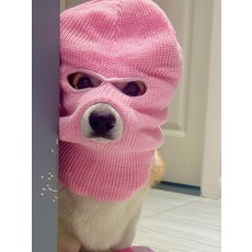 복면 강아지 고양이 모자 반려동물 패션 액세서리 산책용 애견용품, 1개, G_그레이