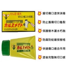 卡西特 傷口癒合劑 150g 日本原裝進口, 詳見包裝