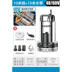 HiGR 48/60V 直流潛水泵 15米線+20米水帶 350W 功率, 1個, 【2寸】48V-60V10米線+10米管