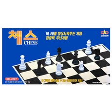 대신전자-체스 CHESS, 1개, 혼합색상