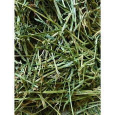 百搭牧草 提摩西一割二割 苜蓿 燕麥草 甜小麥 百慕達草, 1個, 苜蓿1kg, 1kg