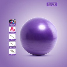 瑜伽健身球 加厚成人防爆家用大龍球 運動訓練器材, 升級磨砂 紫色 贈六件套 ,55cm 身高150-160cm
