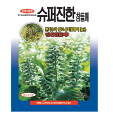씨들깨씨앗 슈퍼진한참들깨 20g 기름들깨종자