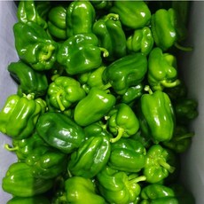 클릭마켓 국내산 피망 못난이 중량, c피망1kg 상, 1개